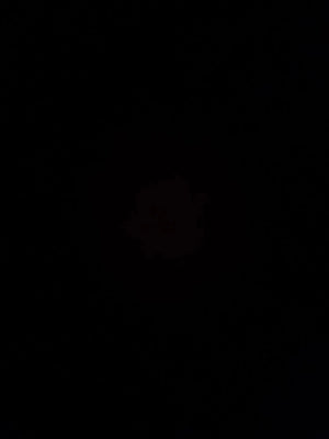 A67ce519670194a0a8d666323e27cd369g.jpg